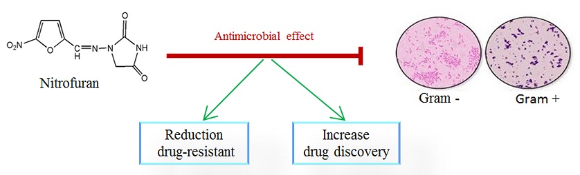 Nitrofurans as Potent Antibacterial Agents: A ‎Systematic Review of Literature 