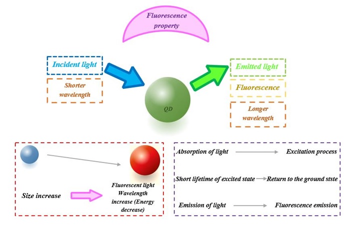 Effects of Fluorescent Quantum Dots on COVID-19 Detection:‎‏ ‏A Survey on Present ‎Findings, Challenges, and Future Viewpoints 