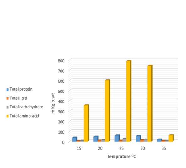 Biological and Biochemical Impacts of Temperature on Spodoptera littoralis (Boisduval) 