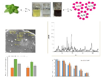 Evaluation of anti-bacterial (Escherichia coli and Staphylococcus aureus) and anticancer effects of silver nanoparticles synthesized by Melissa officinalis L. extract on several cancer cells (A549, MCF-7, and HeLa) 