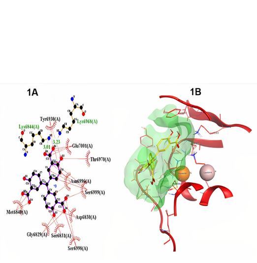 Virtual Screening and Molecular Docking of FDA Approved Antiviral Drugs for the Identification of Potential Inhibitors of SARS-CoV-2 RNA-MTase Protein 