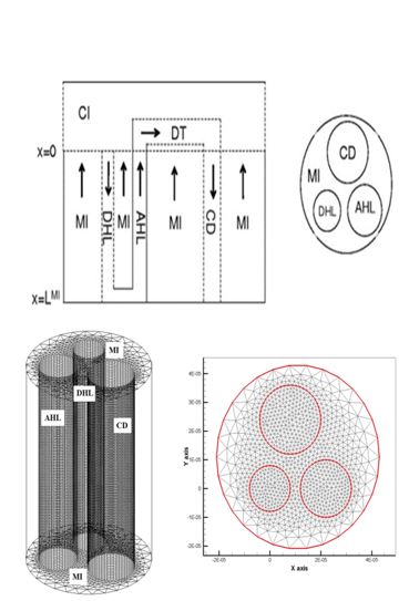 A 3-Dimentional Framework for Studying the Effects of Structural and Physical Properties of the Renal Outer Medulla on Urine Concentrating Mechanism 